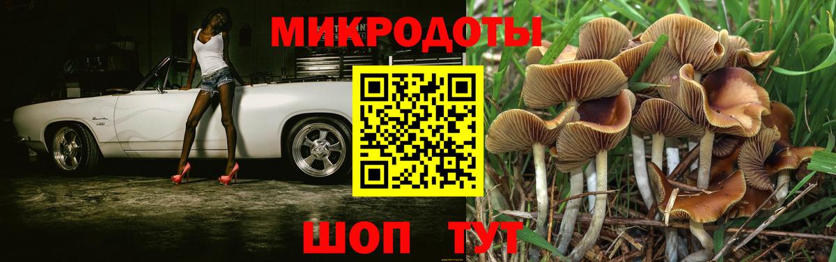 Галлюциногенные грибы Magic Shrooms  Галлюциногенные грибы мицелий  Вход с VPN  Рыбинск 